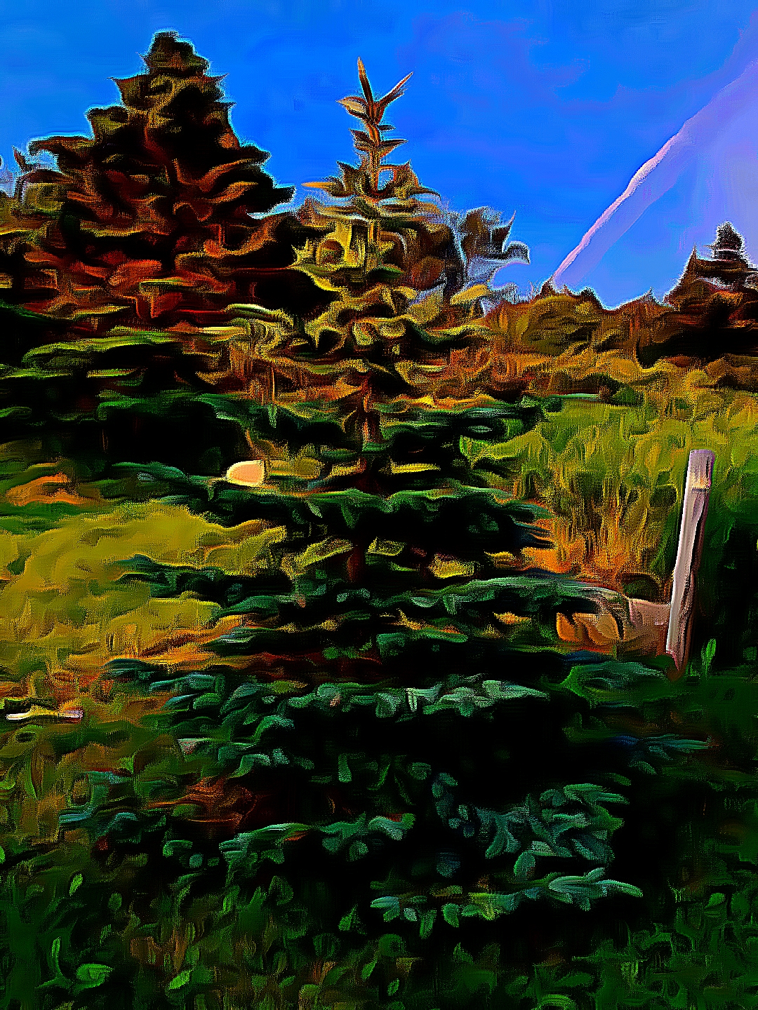 Cartoon image of a tree and forest during a sunny day