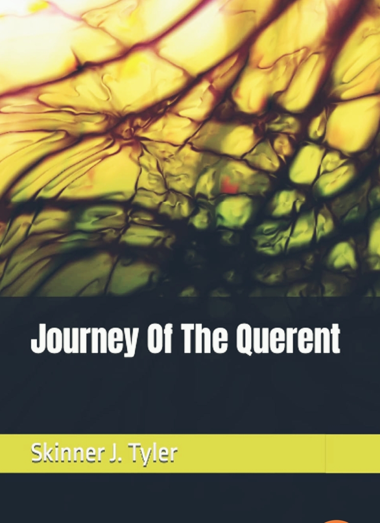 Journey Of The Querent by Skinner J.Tyler and published by Coastal Agency 2022 (Back)